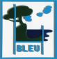 Claude Gilli, Bleu (2009), cm 64x68x5,5