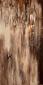 Feofeo, Sequoia (2011), tecnica mista su tela, cm 60x120