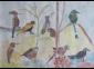 Beate Kulina, The colours of the Tropics (exotic birds) (2013), acquerello su carta, cm 48x36